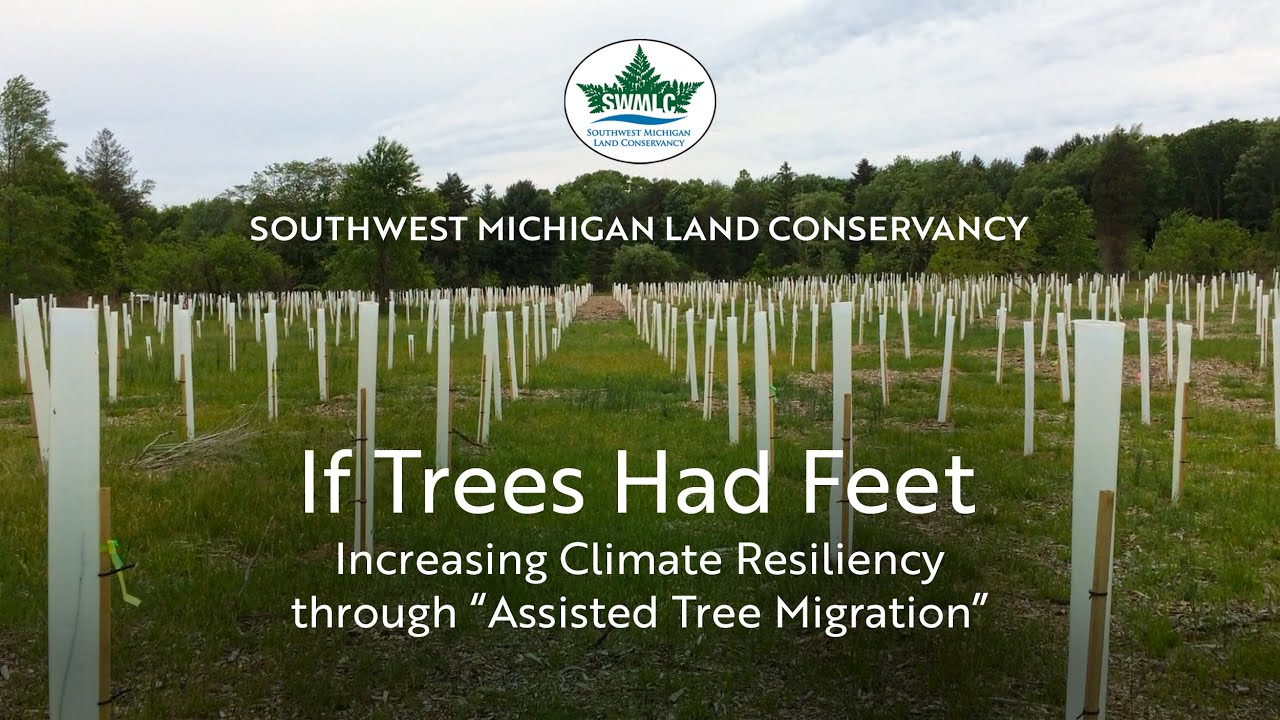 If Trees Had Feet - Increasing Climate Resiliency Through 