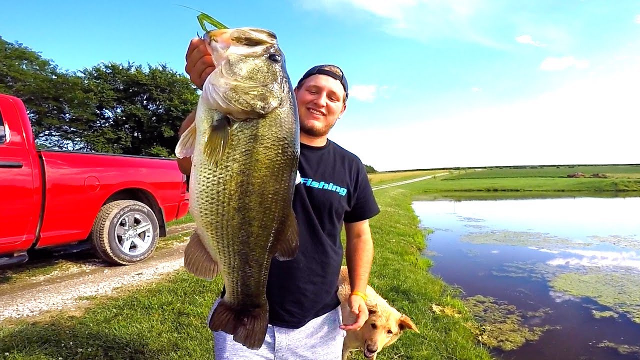 Catching GIANT Bass on Topwater Frogs!!!