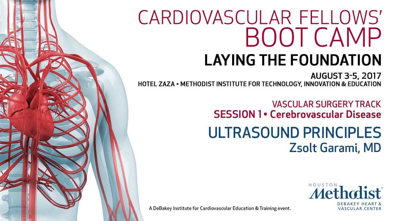 Ultrasound Principles (Zsolt Garami, MD)