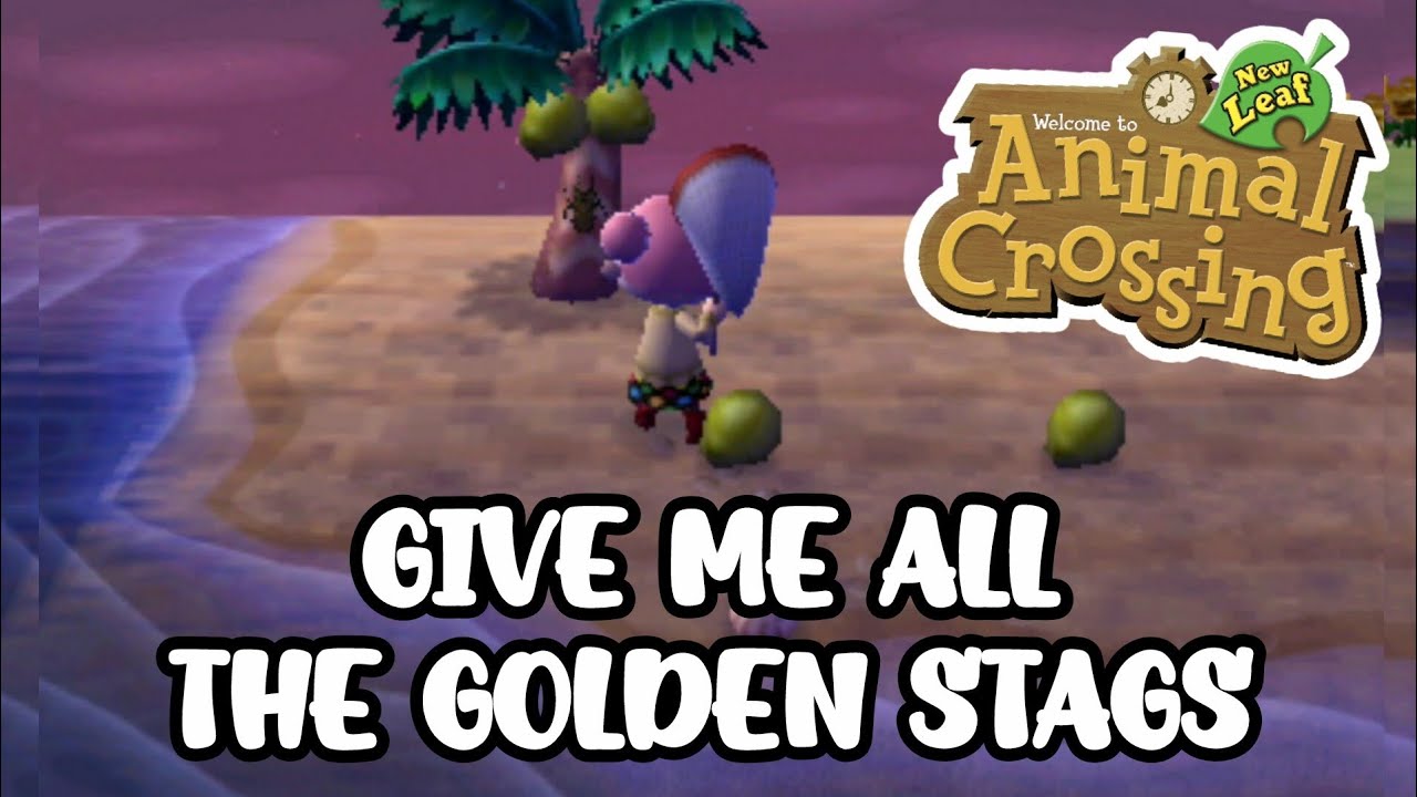 Bug Hunting on Tortimer's Island at Night in Animal Crossing New Leaf