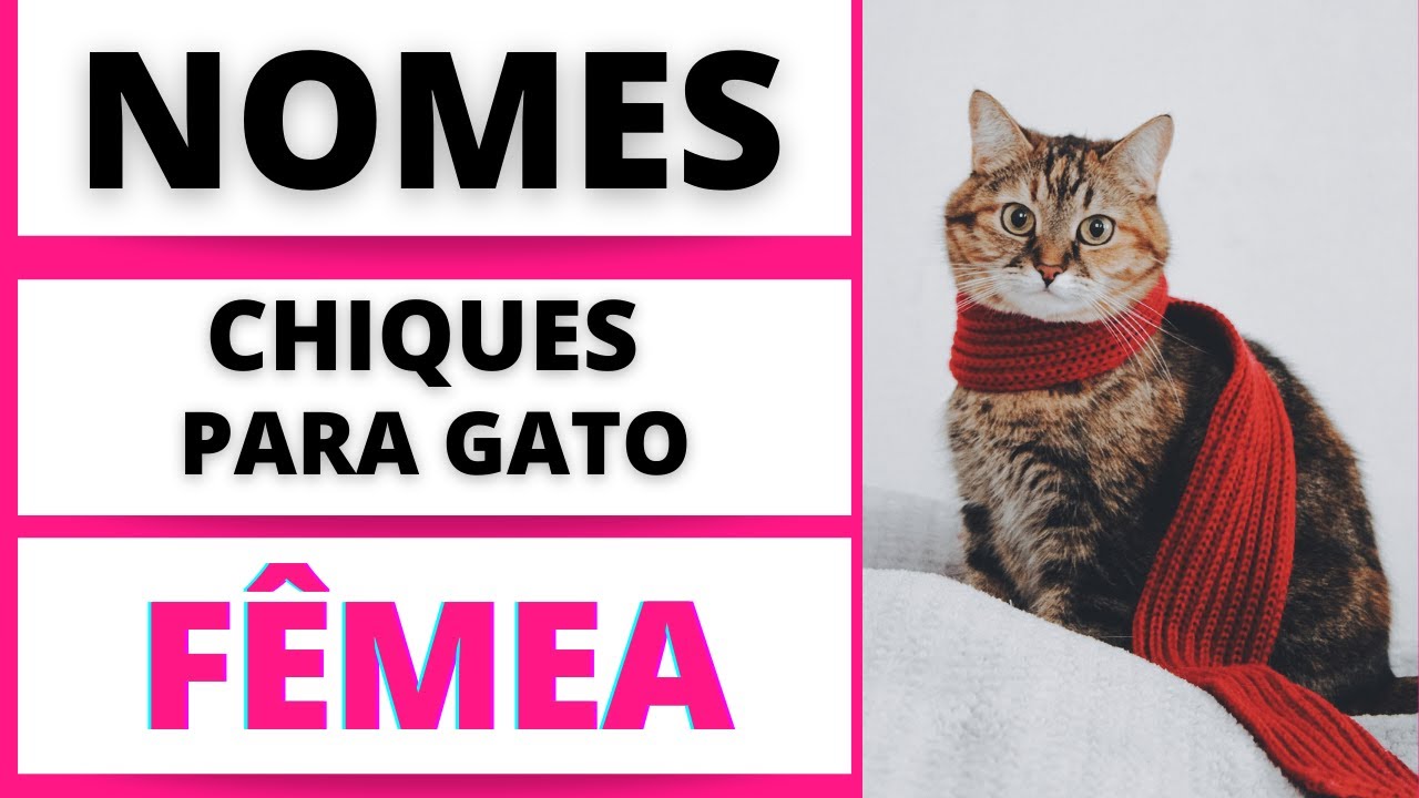 NOMES CHIQUES PARA GATO FÊMEA- PARTE 1🐱🥰😍