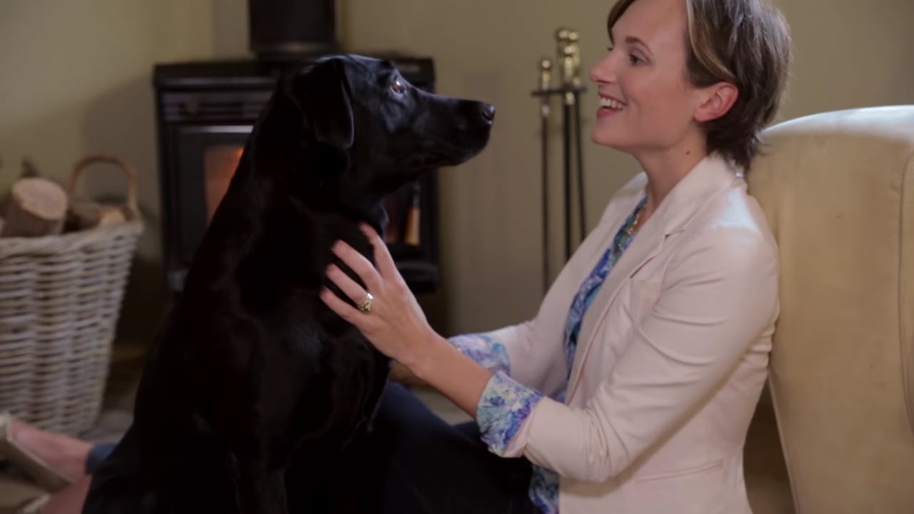 The Housesitting Company - What we do