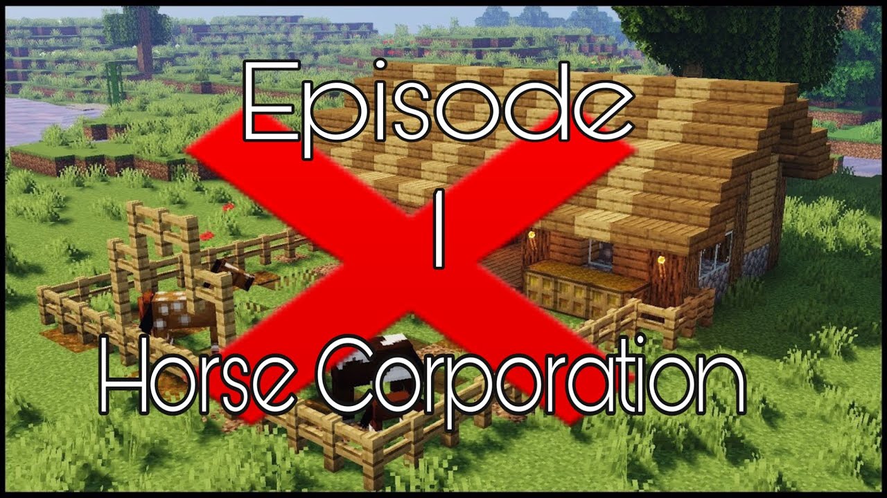 The Horse Cooperation (Episode 1)