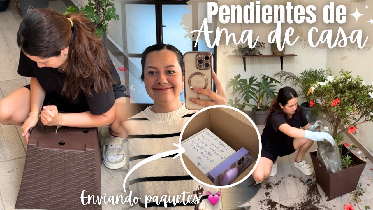 D&Iacute;AS PRODUCTIVOS ✅ TRASPLANTANDO ARBOLITO🌳 ENVIANDO PAQUETES 📦 ASI ME SIENTO EN MI MATERNIDAD 😔❤️&zwj;🩹 