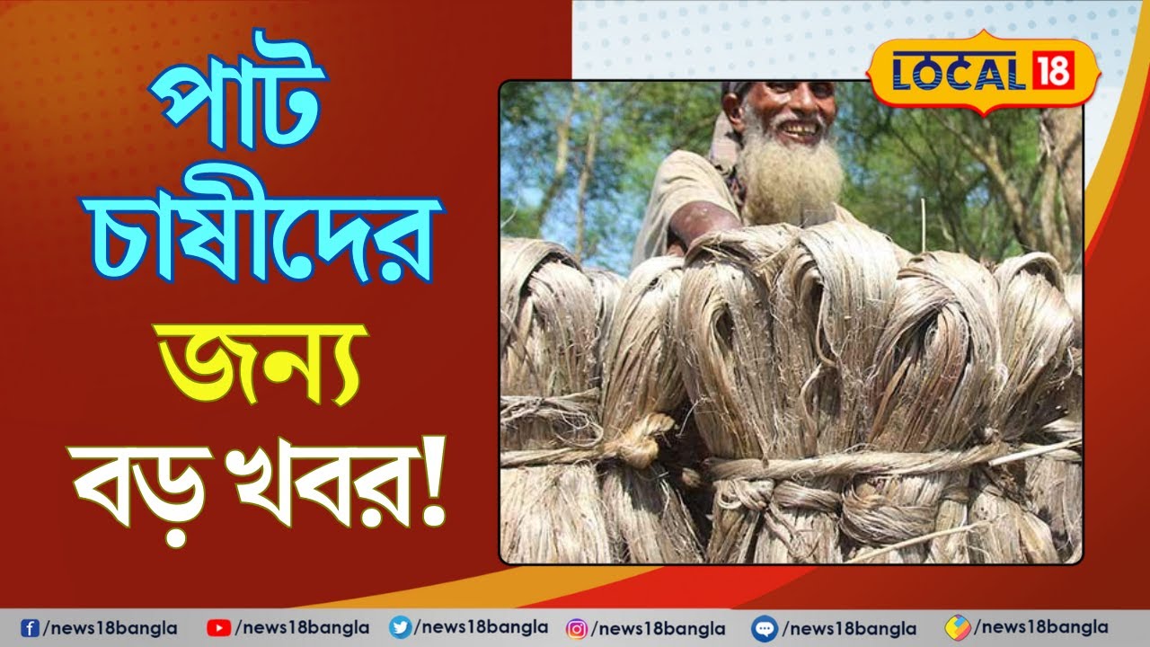 পাটচাষীদের জন্য বড় খবর! মিলবে দাম | Jute cultivation | Jute farming | Bangla News | 