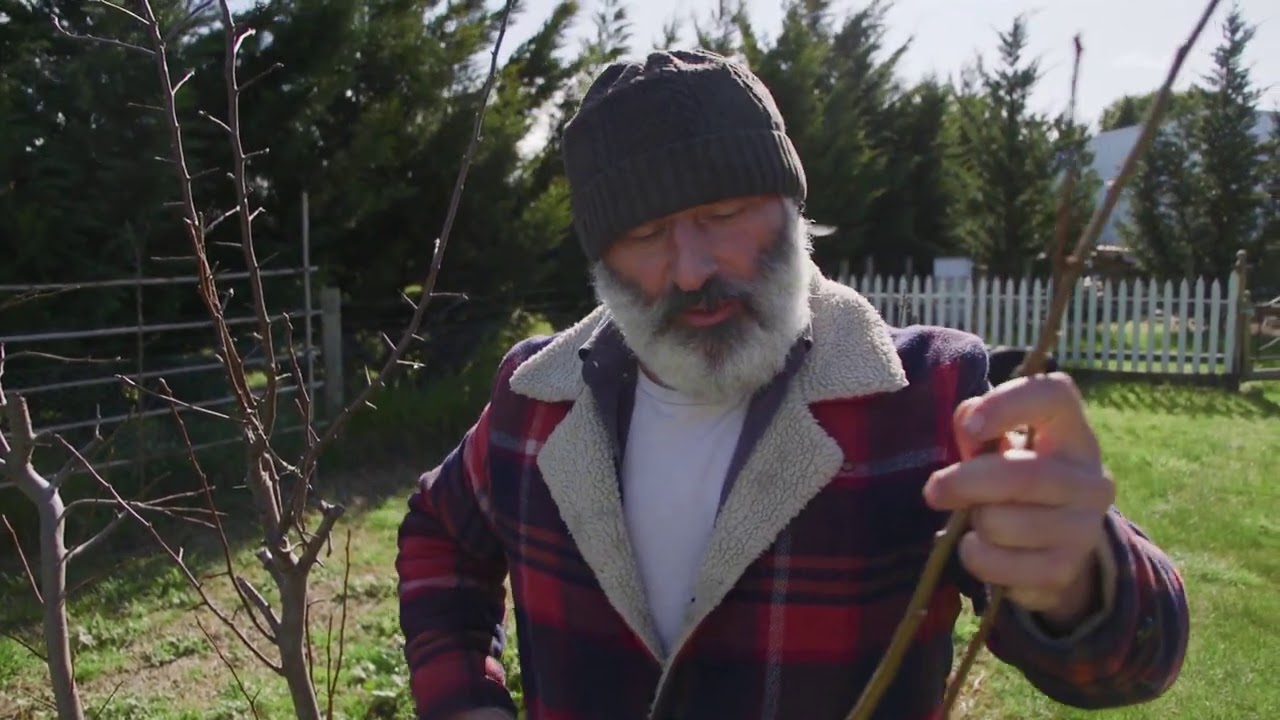 How to plant 2 trees in the 1 hole