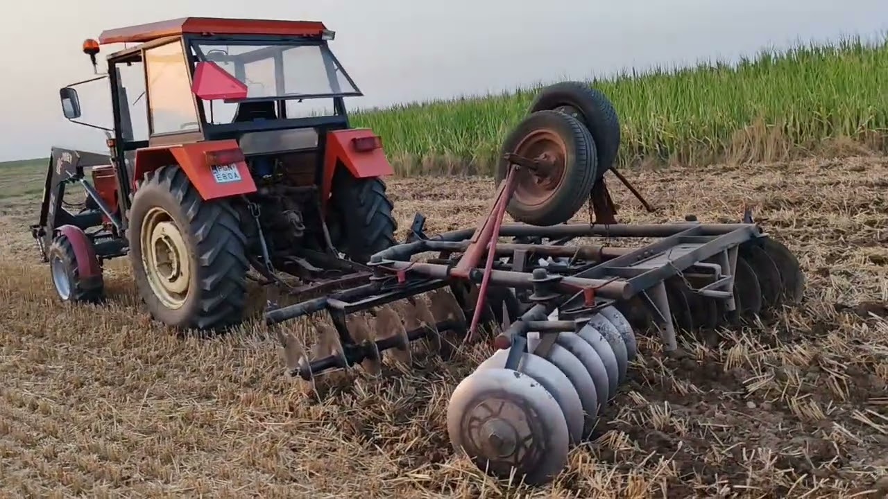 Ursus C-360 i talerzowanie ścierniska😁😁