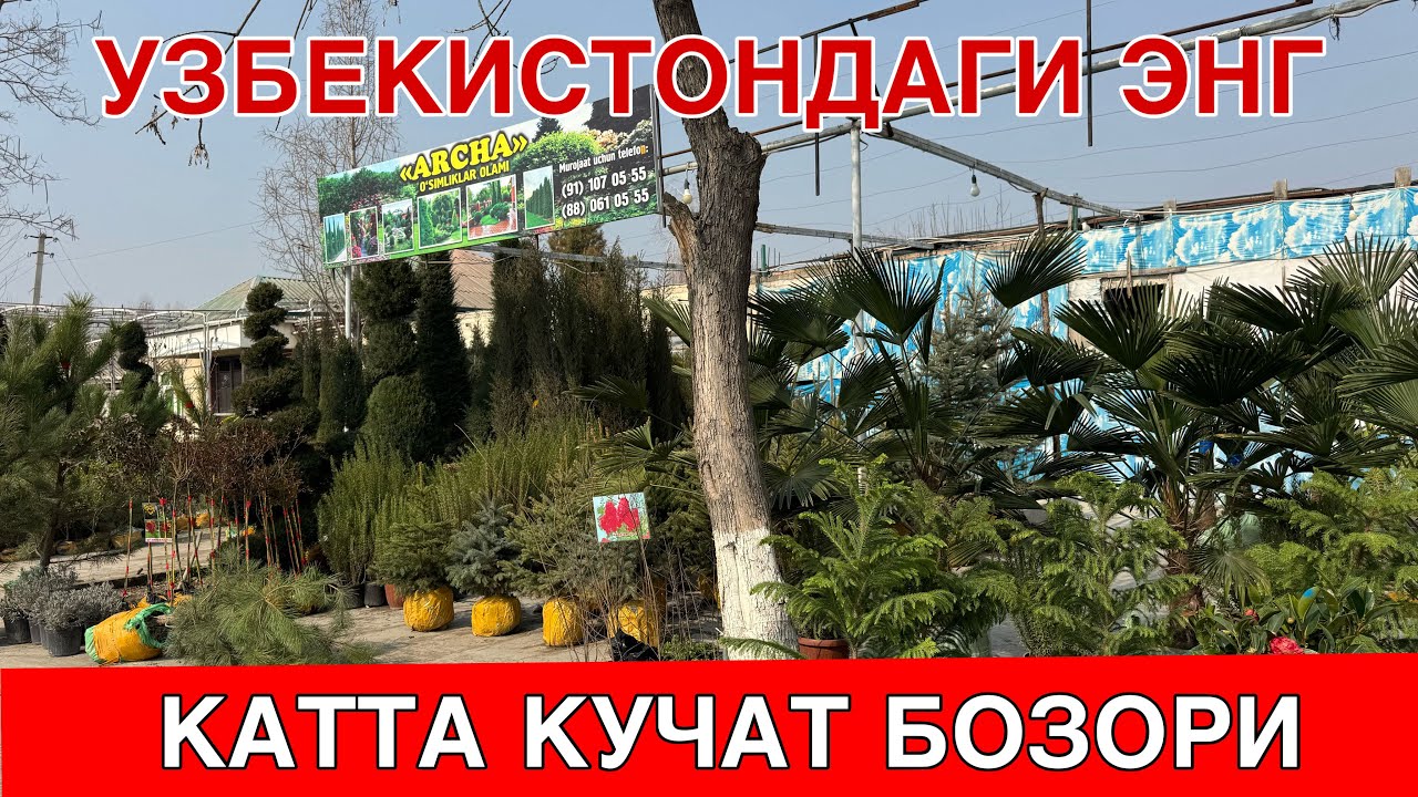 УЗБЕКИСТОННИ ЭНГ КАТТА БОЗОРИ