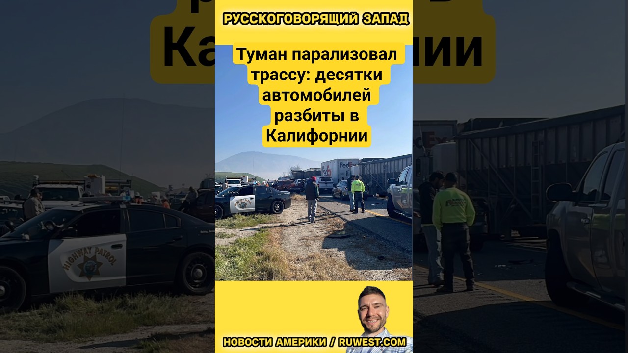 Туман парализовал трассу: десятки автомобилей разбиты в Калифорнии #каліфорнія #калифорния #ruscali