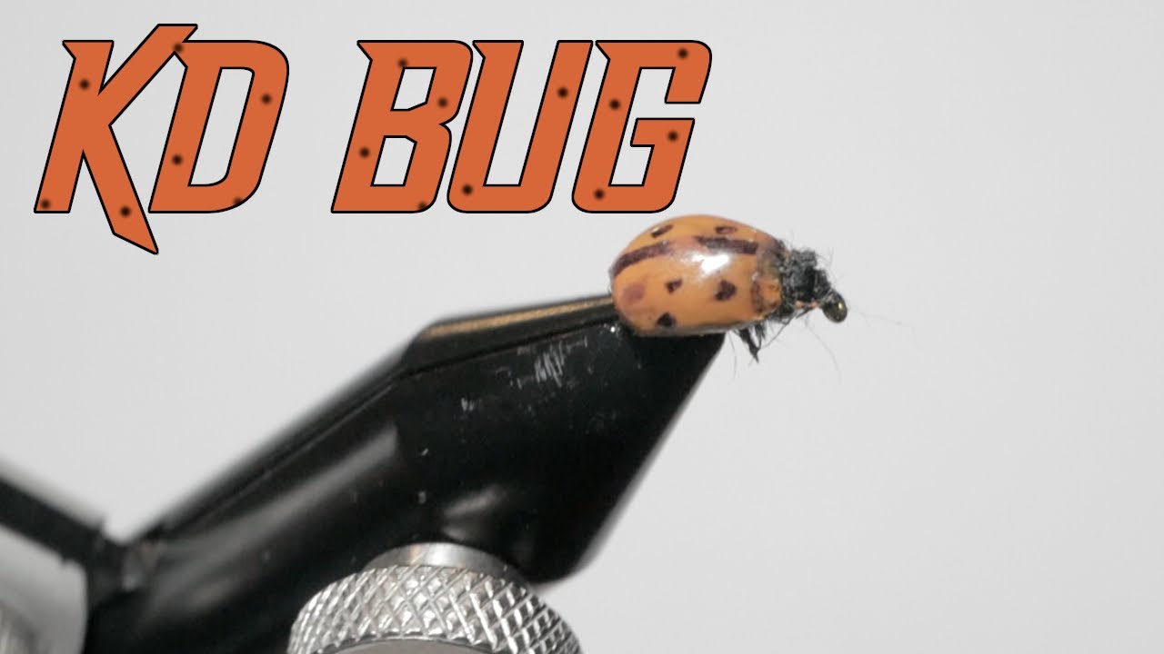 KD Bug - Fly tying (Lady Bug w/ Hard shell)