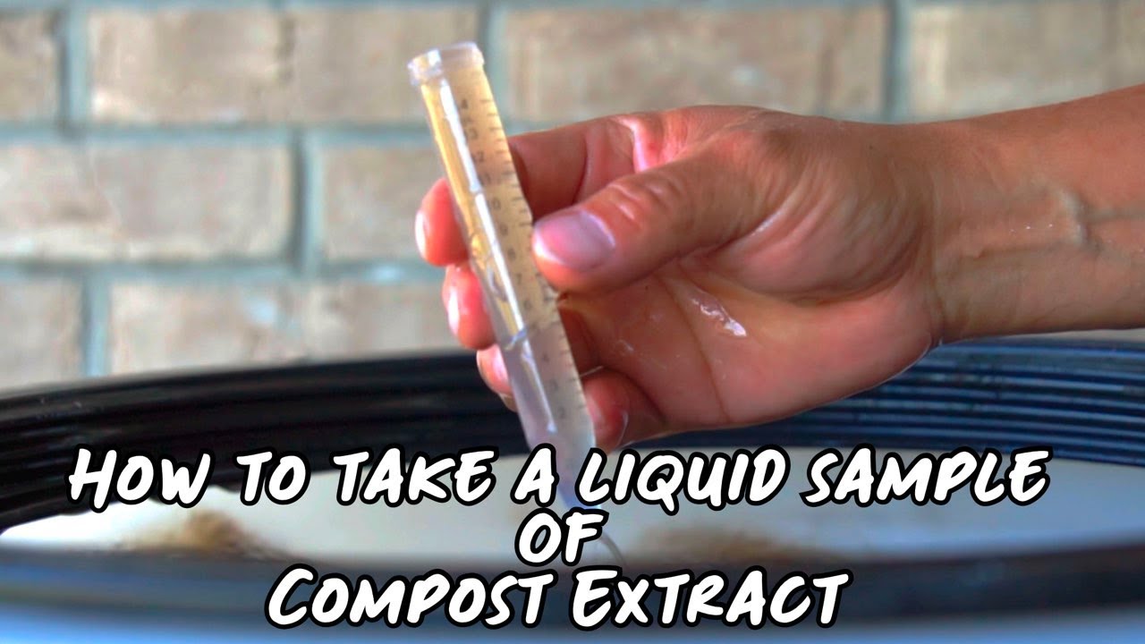 How to take a liquid sample of compost extract for viewing under the microscope (PT2)