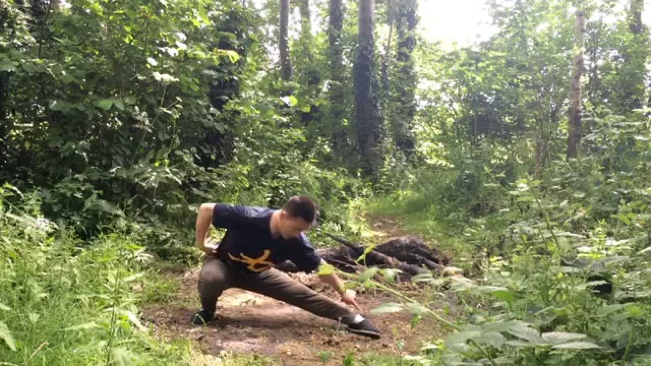 У Бу Цюань 五步拳 (Форма пяти стоек) Часть 2 Мастер Ян Синь