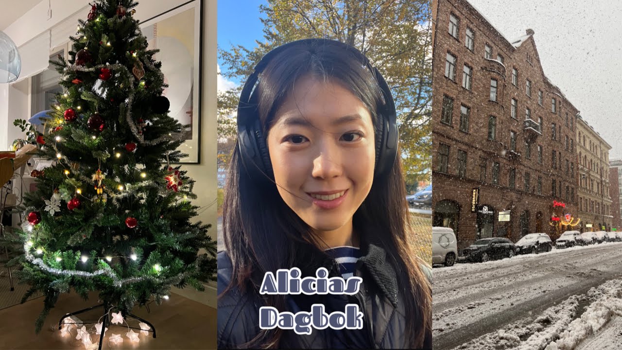 [eng] VLOG 🎄 | 올해 하반기 일상의 조각들.zip | 고양이들과 보내는 일상🐯 | 눈 오는 스톡홀름 ☃️ | 스톡홀름 영화제 🎥