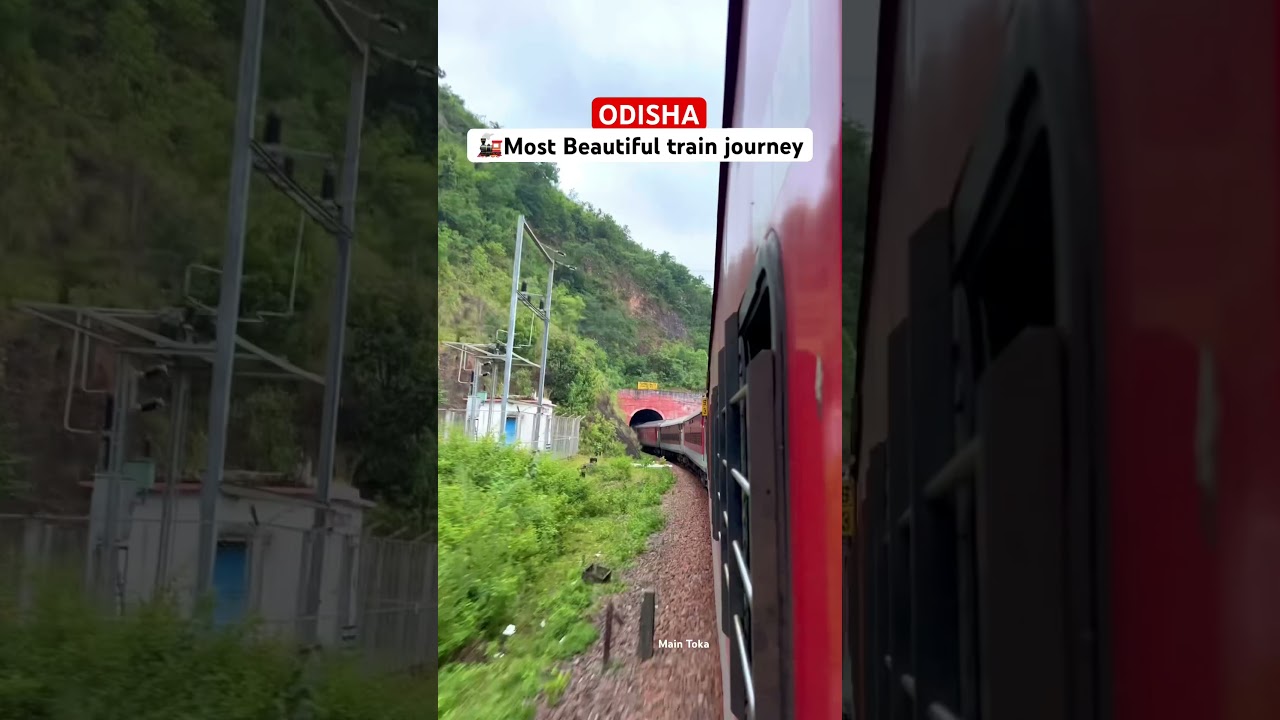 🚂 Odisha&rsquo;s most beautiful train journey❤️ #odisha #train #koraput #travel #viralvideo #nature