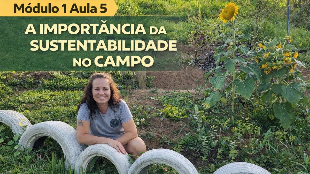 A importância da sustentabilidade no campo