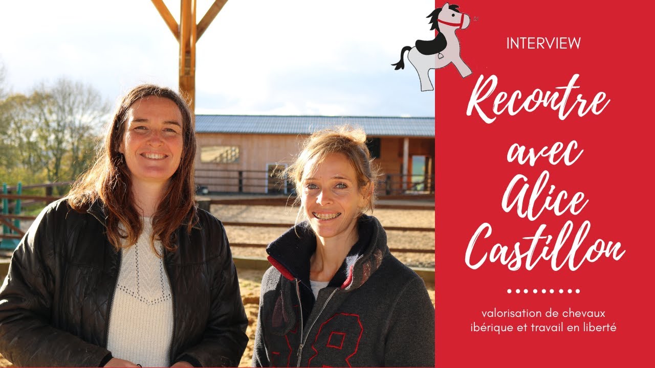 Comment travailler son cheval en liberté ? Les secrets d' Alice Castillon, avec son cheval Furtivo.