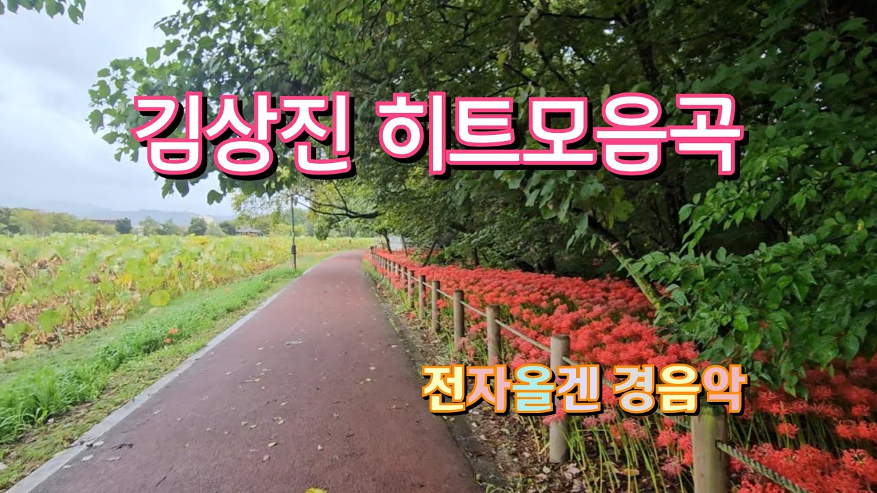 김상진 히트모음곡 / 도라지고갯길, 고향아줌마, 너와나의고향, 석양길나그네 / 전자올겐 경음악
