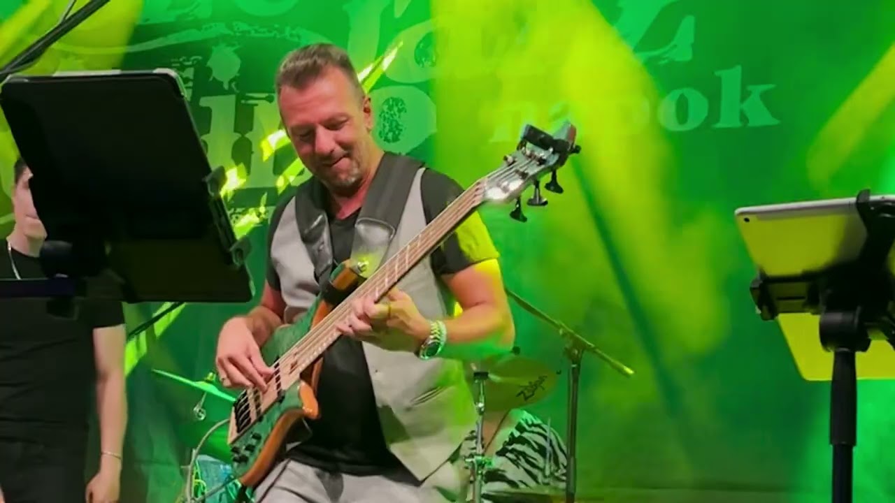 Temesi Berci - Blackbird