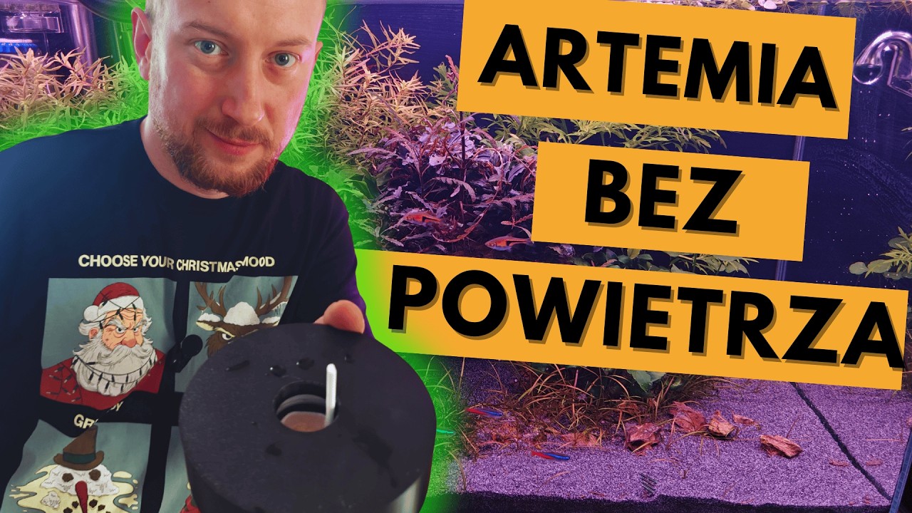 Artemia BEZ NAPOWIETRZACZA?! Sprawdziłem i&hellip; 😳