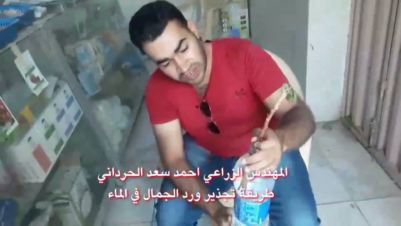 طريقة تجذير ورد الجمال (الهيبسكس ) في الماء 2022