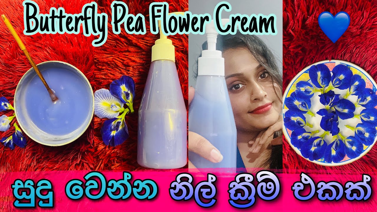 පැහැපත් සමක රහස නිල්කටරොළු මල් ක්&zwj;රීම් | Butterfly Pea Flower Cream for Glowing Skin | SLviki Media