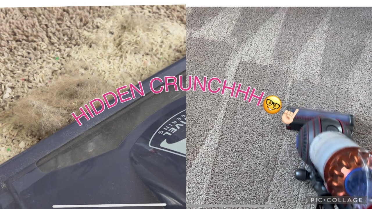 DELICIOUS HIDDEN CRUNCH 😩| Shark navigator and Dyson Ball animal 3 🌝 | CARPET LINESSS💕