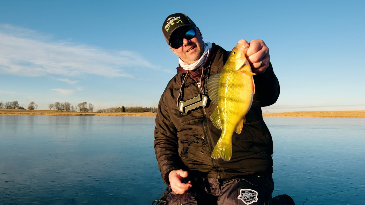 North Dakota Slough Tiger Jumbo Perch and Bonus Walleyes ON ICE - In Depth Outdoors S15 E3