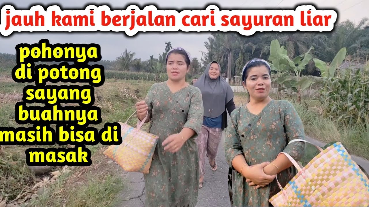 Sudah Di Potong Dan Akan Di Buang Saya Dan adik ipar ambil untuk di masak