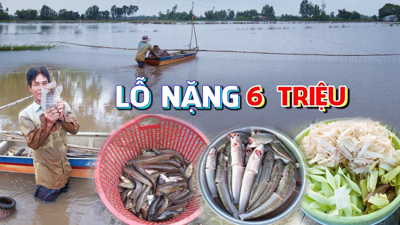 Đẩy Côn ngày cuối mùa lũ 2025 được rất nhiều cá nhưng bị LỖ NẶNG hơn 6 triệu