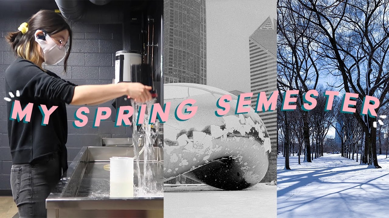 🌷NEW STUDIOS + ART SCHOOL ZOOM CLASSES & GIVEAWAY ✨