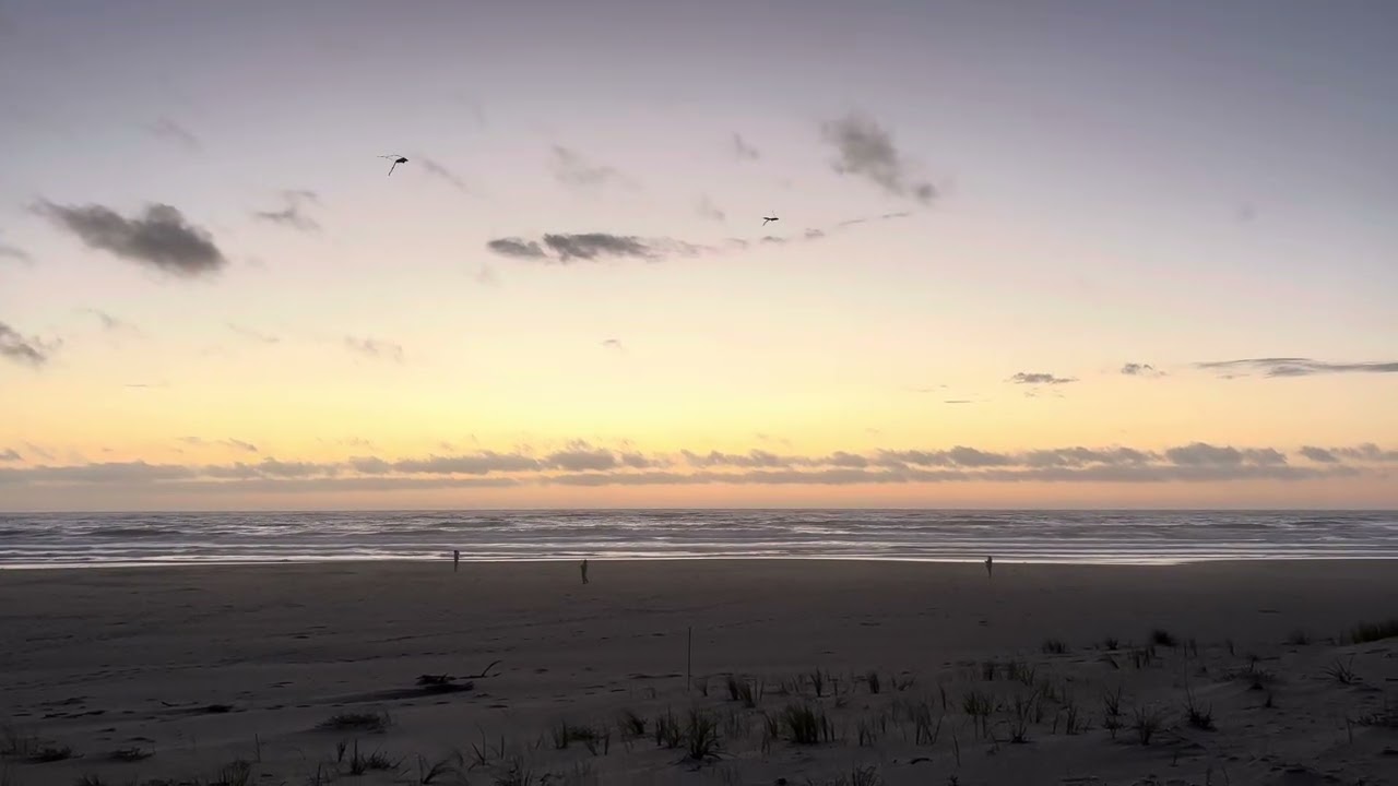 Ocean Sounds + Flying Kites ASMR