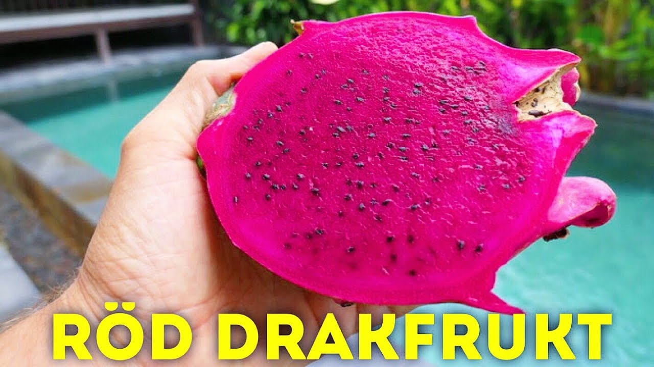 HUR &Auml;TER MAN DRAKFRUKT PITAYA DRAGONFRUIT
