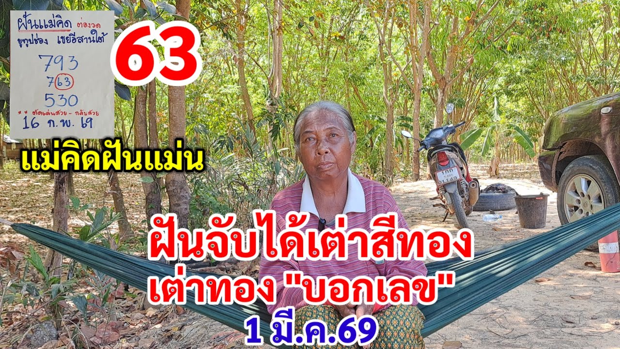 แม่คิดฝันแม่น ฝันจับได้เต่าสีทอง เต่าทอง 