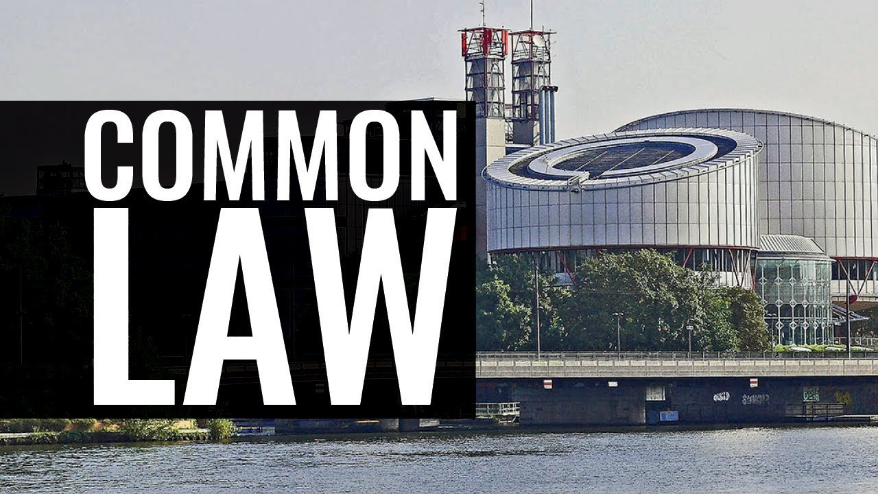 In the Context of the Common Law: The European Court of Human Rights in Strasbourg - Bostjan M. Zupa