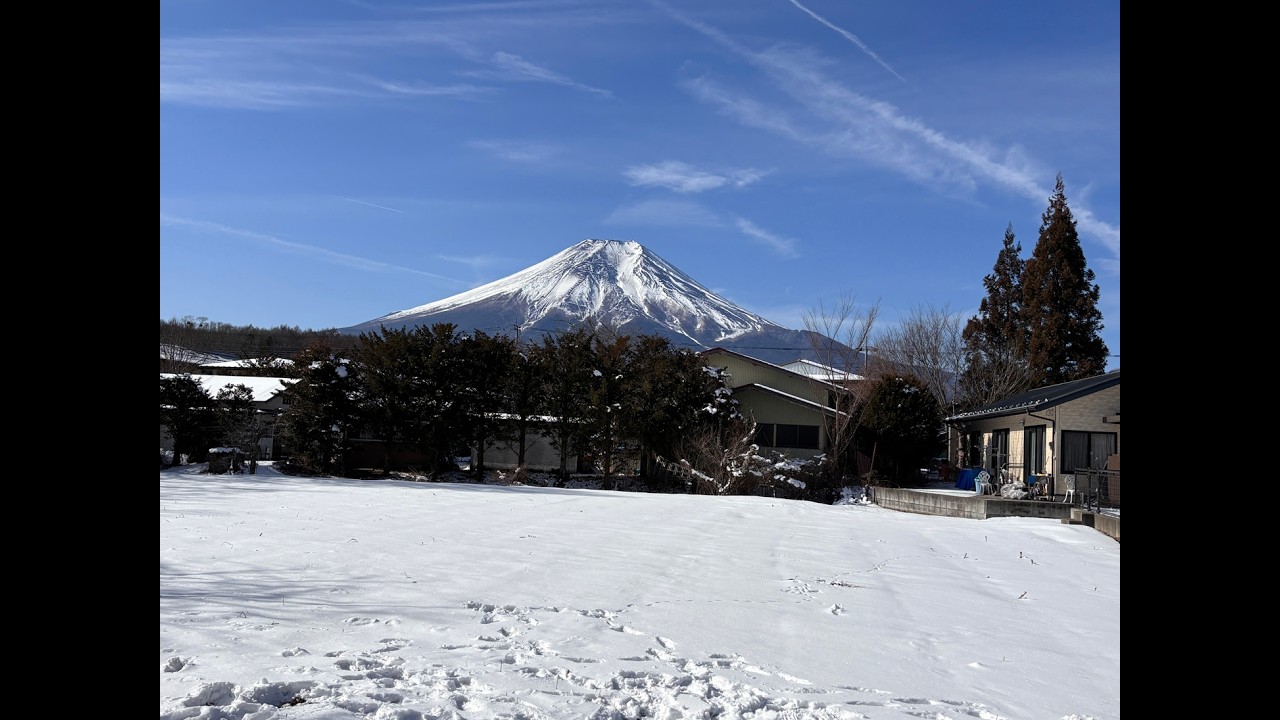 Week in Japan