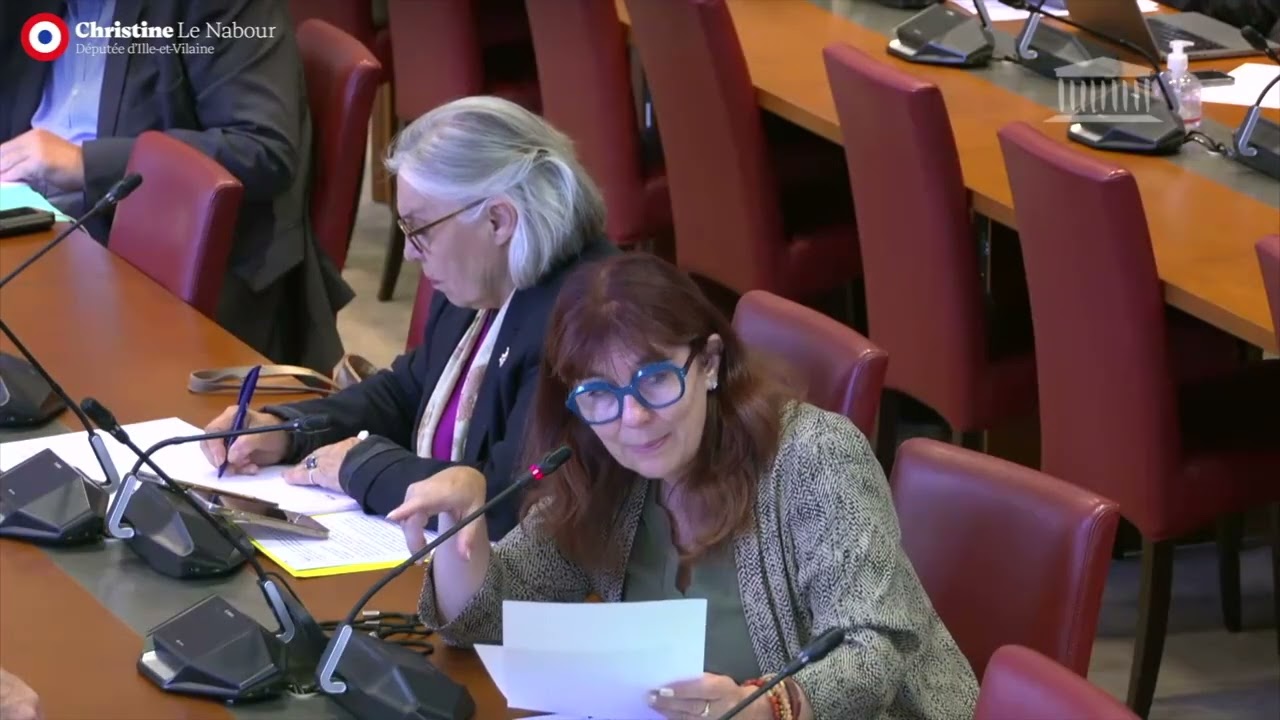 EN CAS : EXAMEN DU PROJET DE LOI SUR L'EMPLOI DES SALARIÉS EXPÉRIMENTÉS, TRANSPOSITION DES ANI