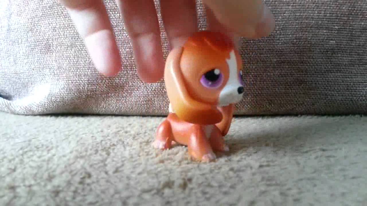LPS : Moja kolekcja piesk&oacute;w beagle beangle Littlest pet shop !