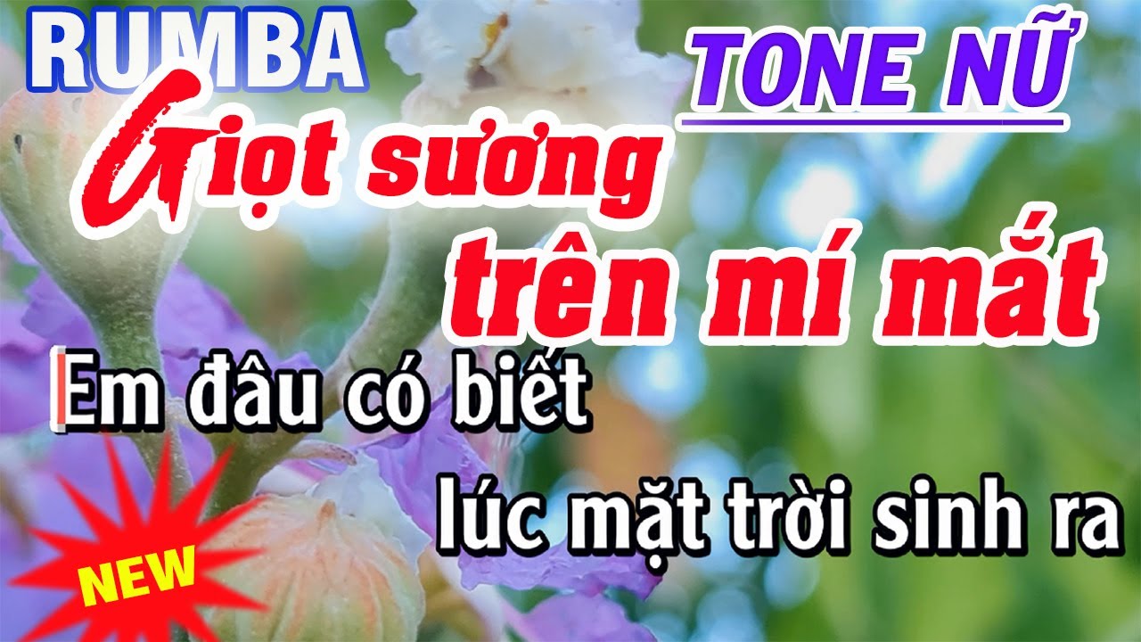 Giọt Sương Trên Mí Mắt karaoke rumba tone nữ - nhạc sống karaoke Thanh Trà
