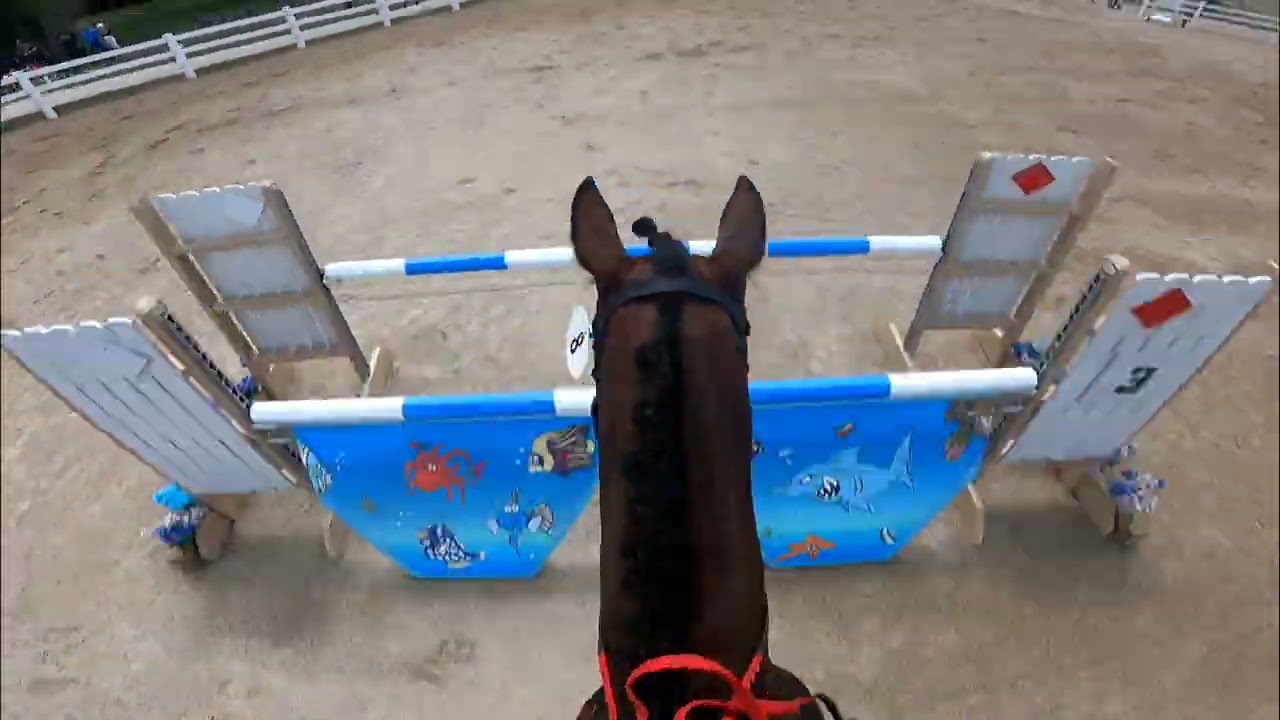 Training Show Jump at Silverwood -July '23