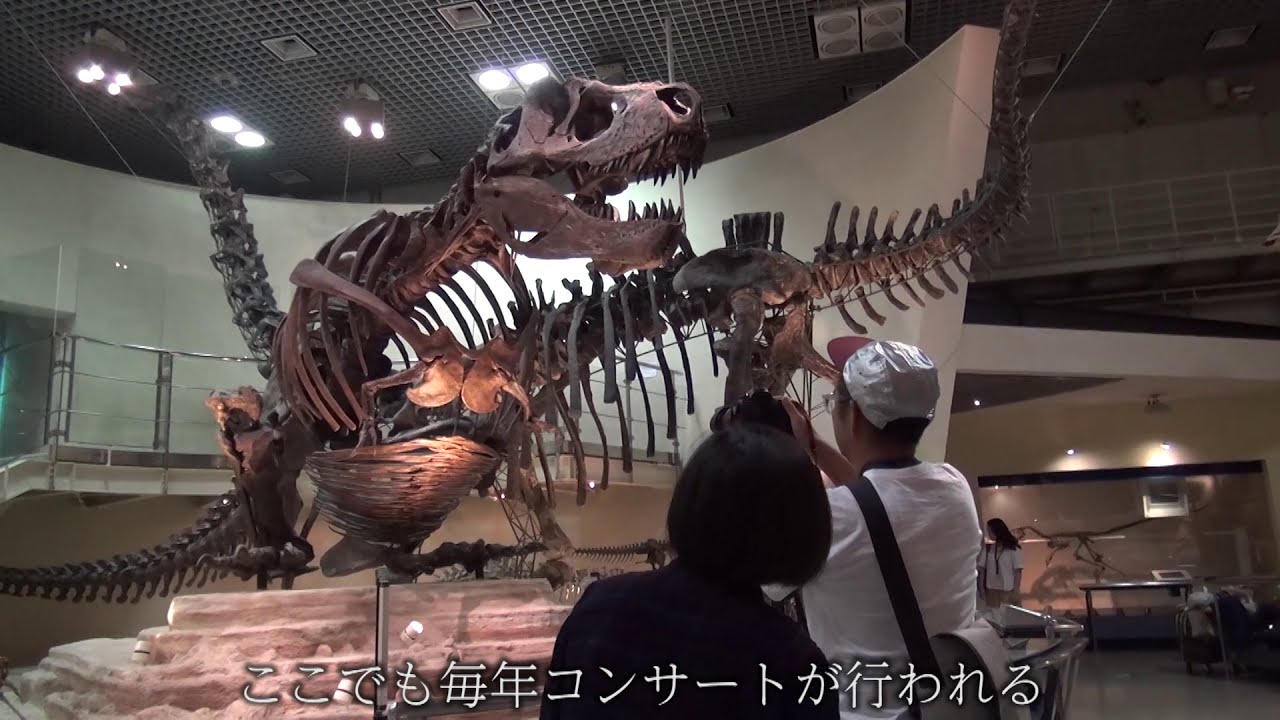 Behind the Scenes -Tokyo Harusai- 藤田ルリ Ruri Fujita（グラフィックデザイナー）
