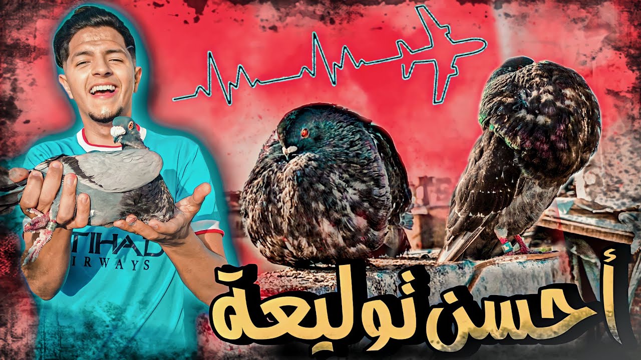 احسن توليعه صباحيه في الحمام 🤩 كان غادي يهرب دكر النفاخ 🤯