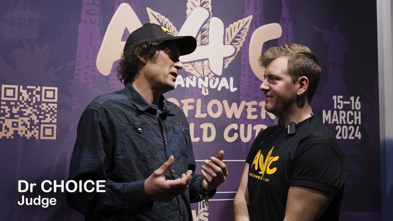 Dr Choice The Judge  Autoflower World Cup  2024