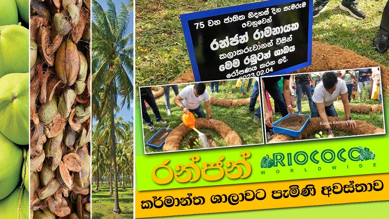 රන්ජන් ඩොලර් මිලියන ගනන් උපයන Export ව්‍යාපාරයක් අරඹයි. | Ranjan Ramanayke