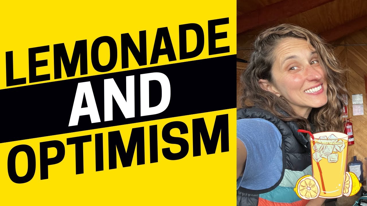 2130 - Lemonade and Optimism in American Culture