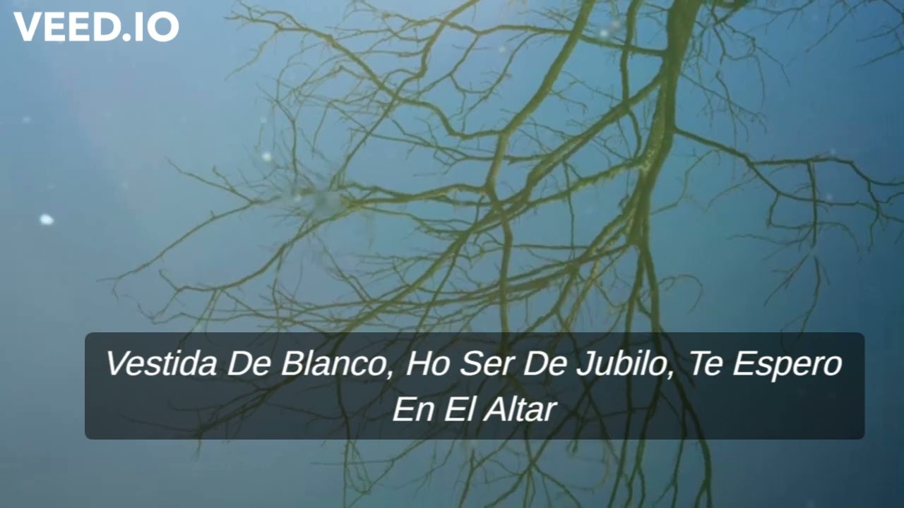Bereshit Olam (Letra En Español)