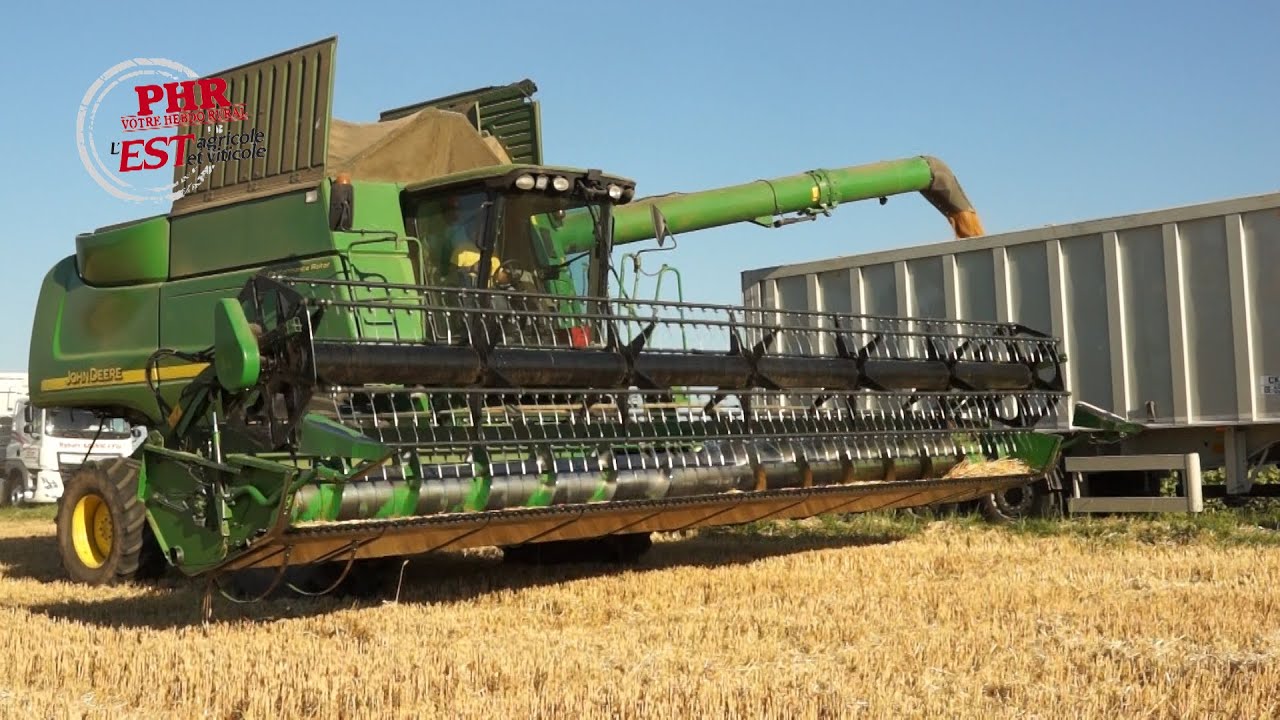 Le chemin du blé, juste après les moissons en Alsace