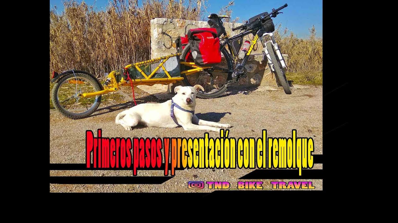 Bicicleta con remolque y un perro - Presentacion