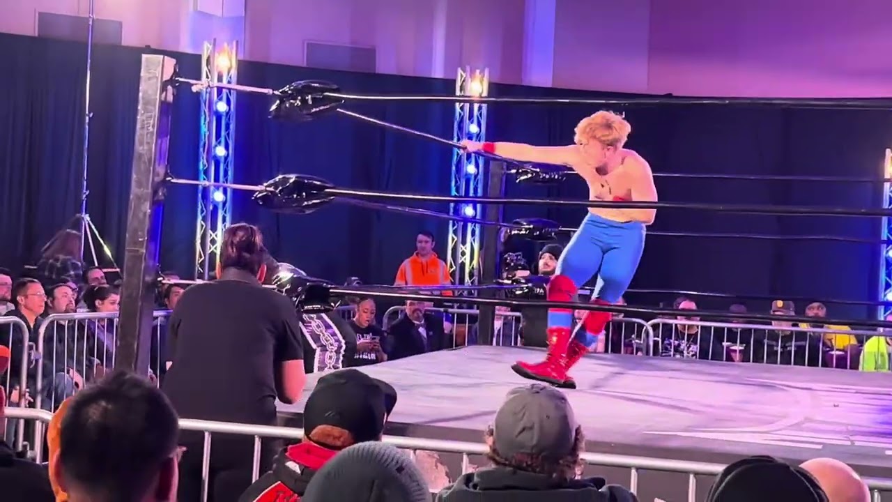 Chaotic Wrestlign