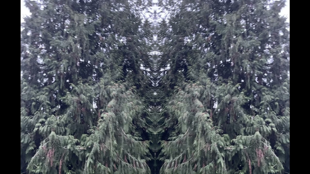 living clear