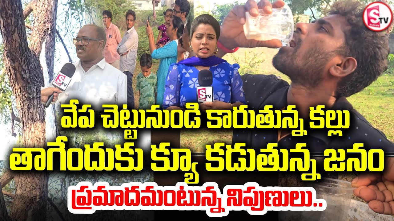 వేప చెట్టునుండి కారుతున్న కల్లు | Toddy Water From Neem Tree? | Shocking Viral Video From Kakinada